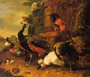 Melchior de Hondecoeter Birds in a Park painting